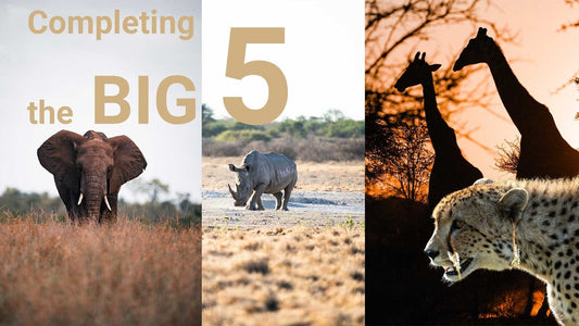 Central Kalahari and Kruger National Park - a perfect ending - Overlanding Botswana Season 1 Episode 4